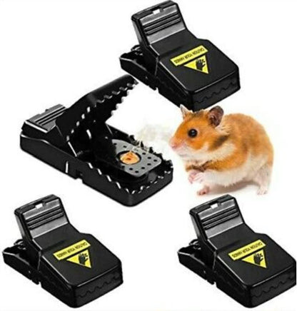 Pièges à souris
