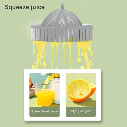 Electric Citrus Juicer
