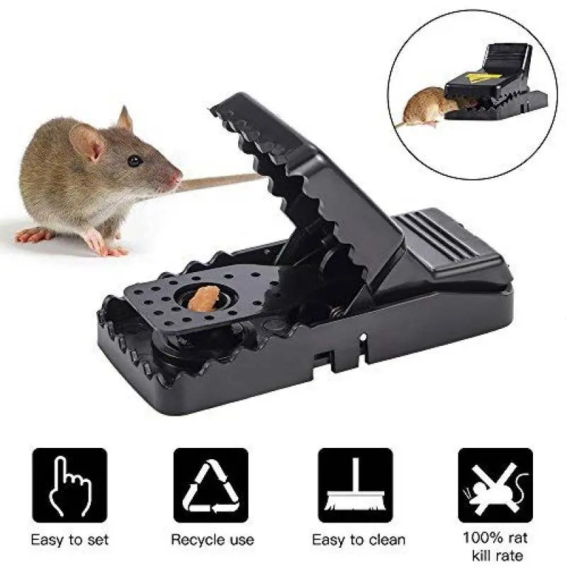 Pièges à souris