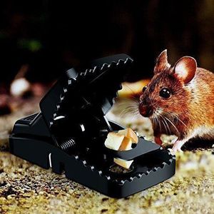 Pièges à souris